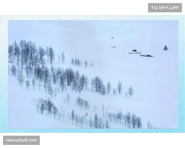 冬日湖畔的诗意之旅在宁静与寒冷中触摸心灵的温暖与自然的灵感 冬日湖畔的诗意之旅在宁静与寒冷中触摸心灵的温暖与自然的灵感