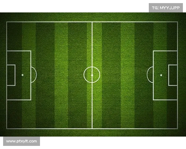全景式全面解析足球虚拟队概念与运作机制及发展趋势的深度解读文